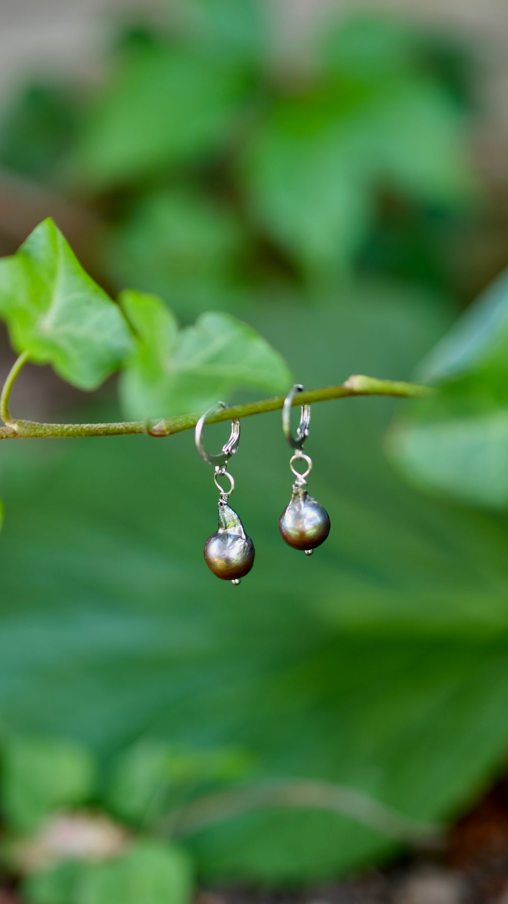 Náušnice z chirurgickej ocele s tmavými sladkovodnými barokovými perlami na okrúhlych mechanických háčikoch. Zobrazené zavesené na zelenej vetvičke.