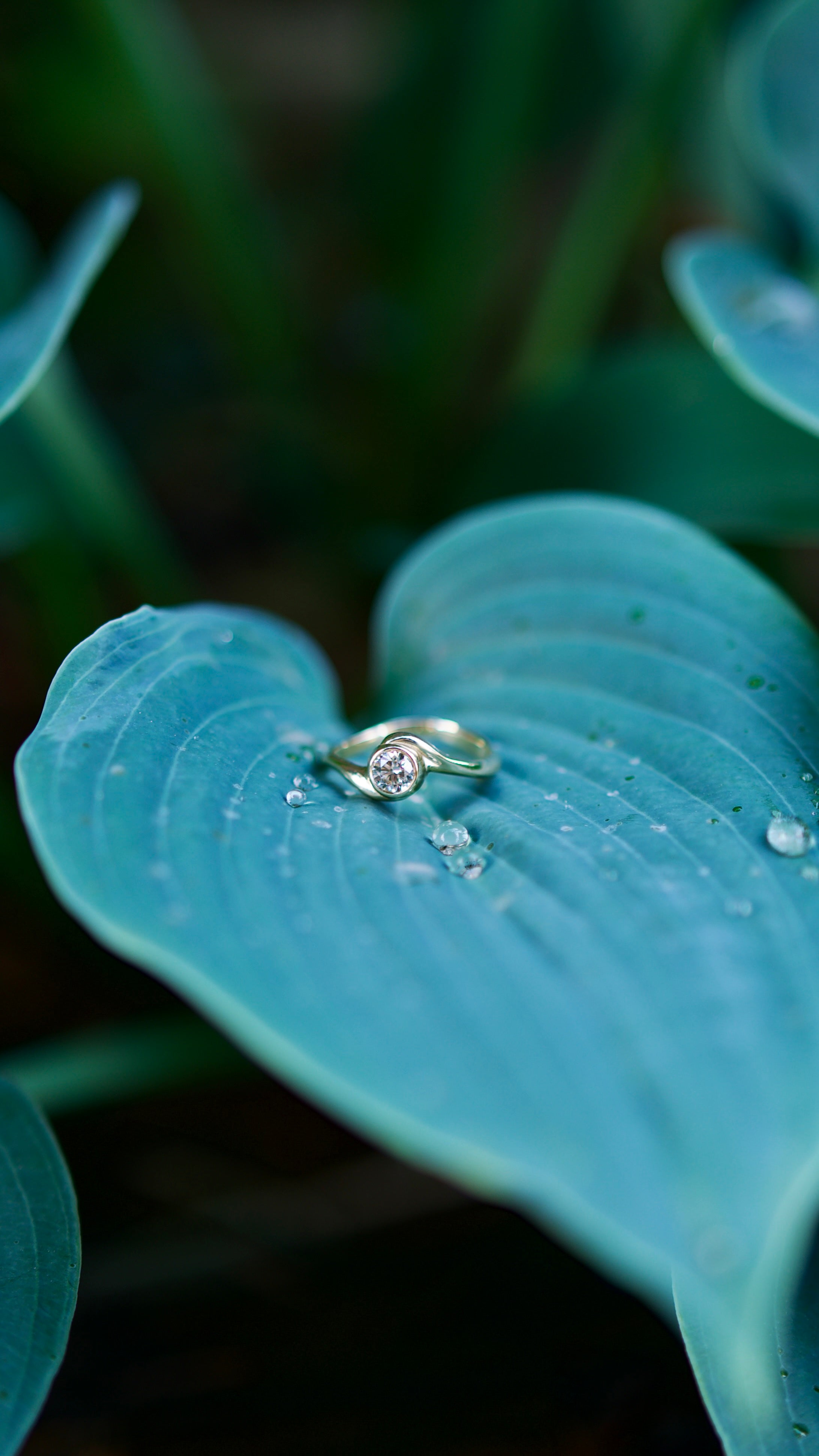 14 carat yellow gold handcrafted engagement ring with organic lines and shapes placed on a leaf