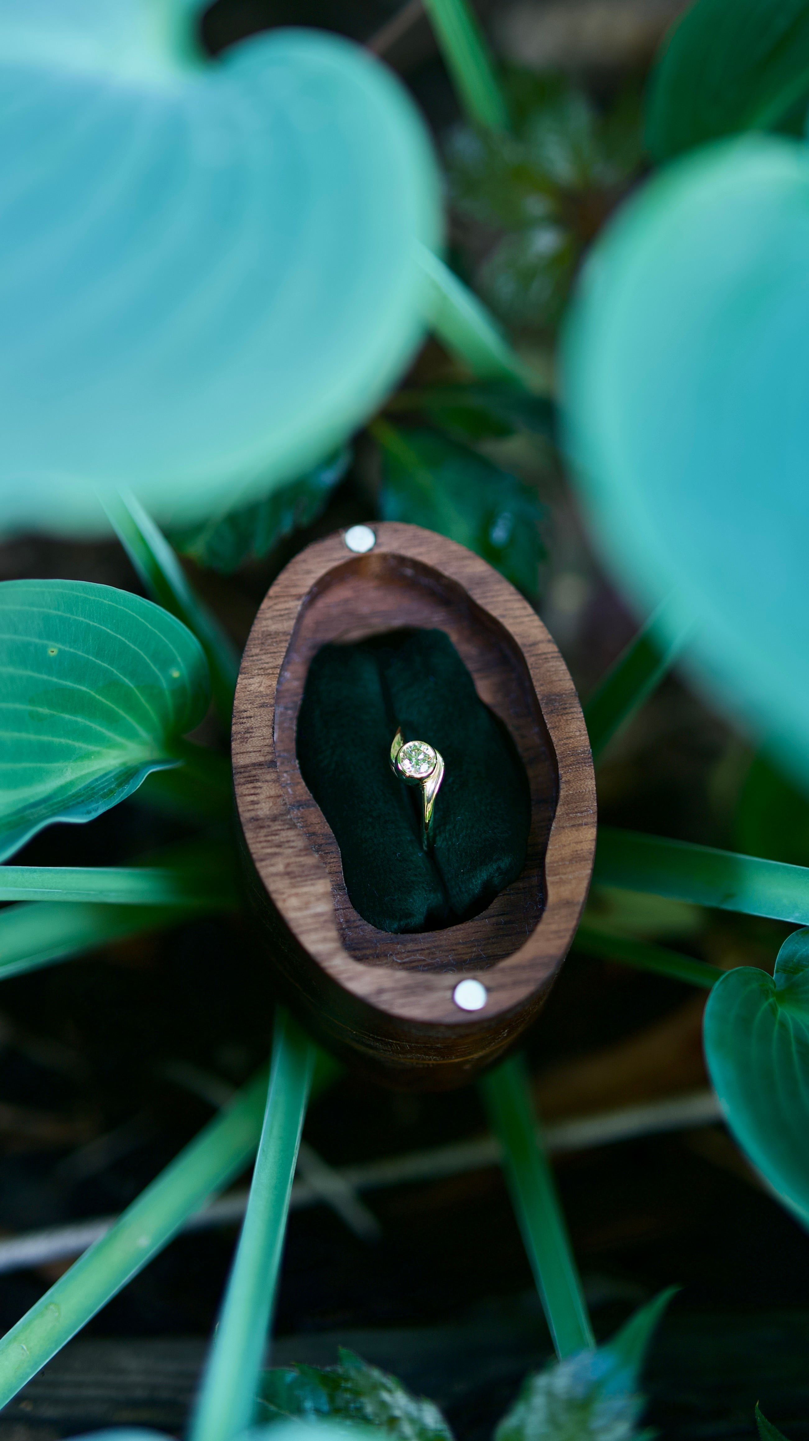 14 carat yellow gold handcrafted engagement ring with organic lines and shapes in a wooden ring box surrounded by greenery